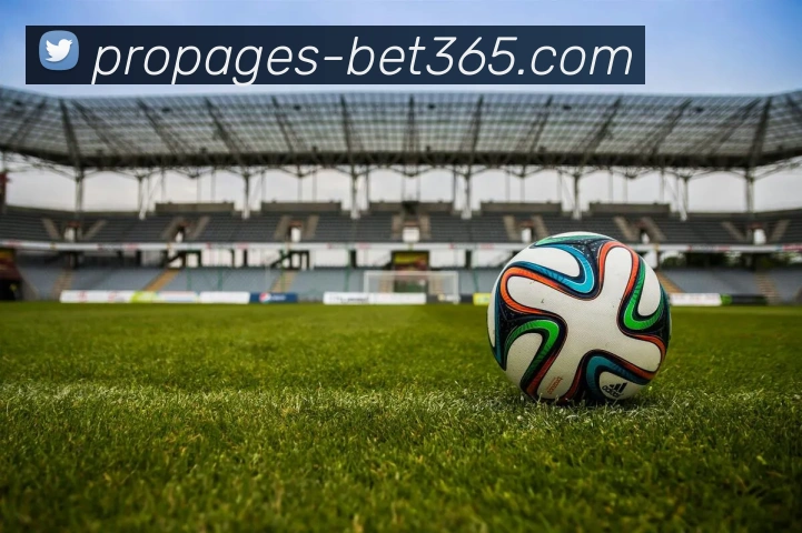 辅助工具 辅助工具